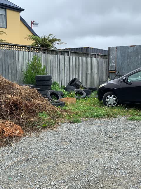 Rubbish/Recycling, a report photo