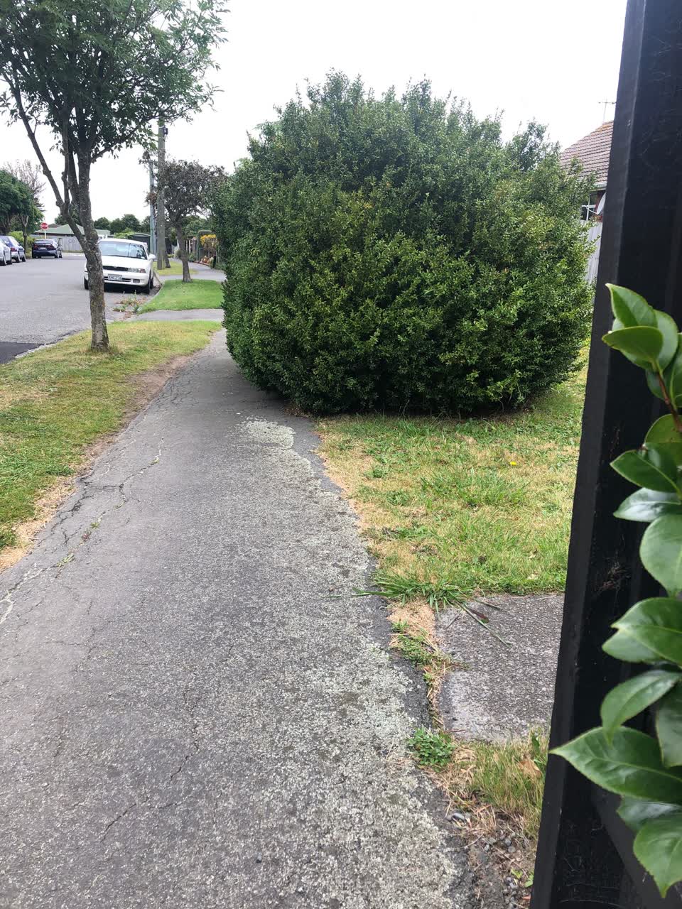 The photograph attached to this roading/streets report