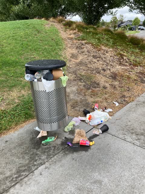 Rubbish/Recycling, a report photo