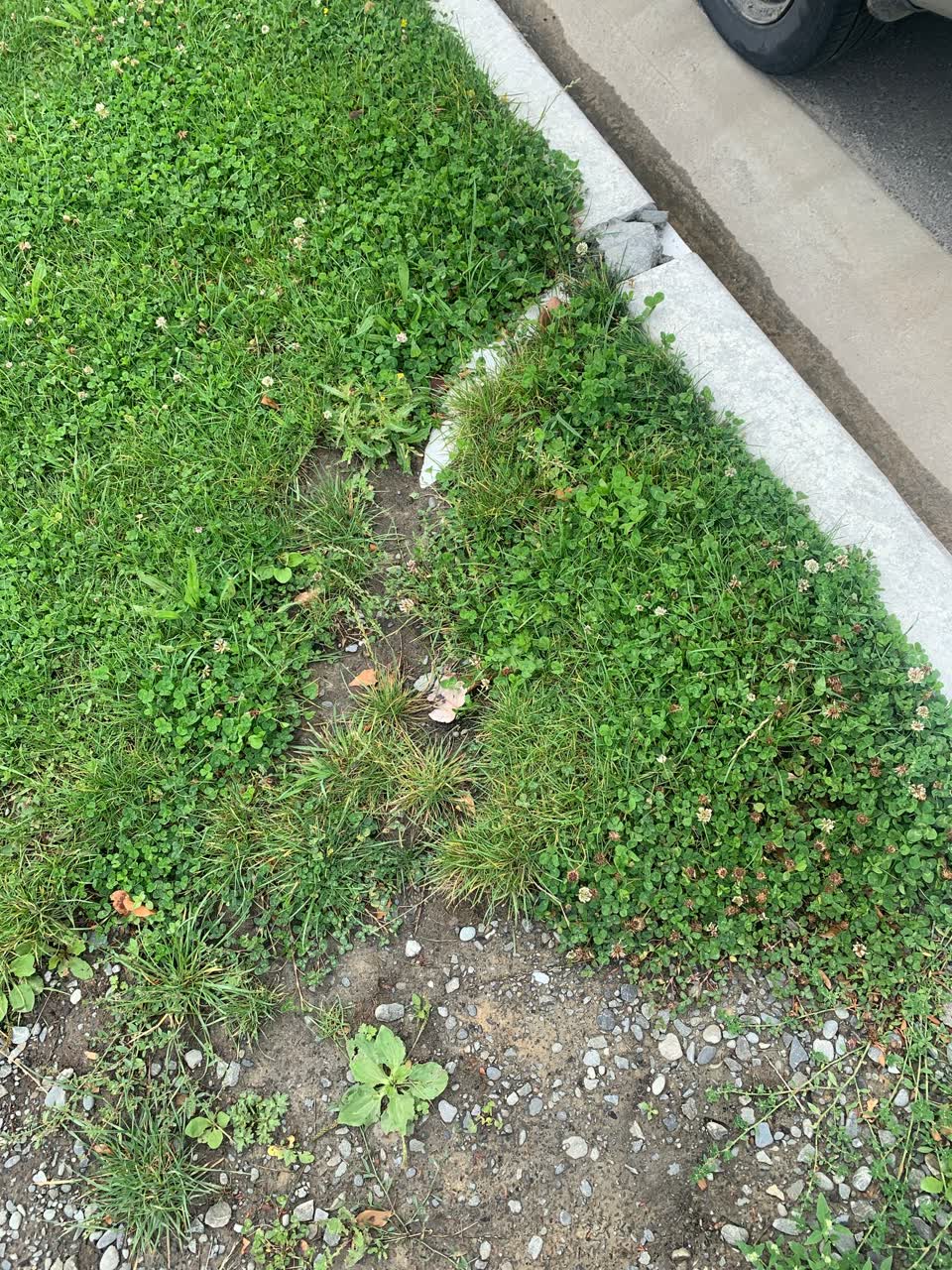 The photograph attached to this wastewater/stormwater report