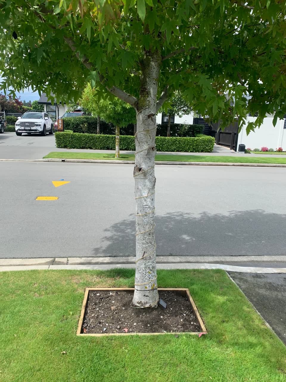 The photograph attached to this parks report