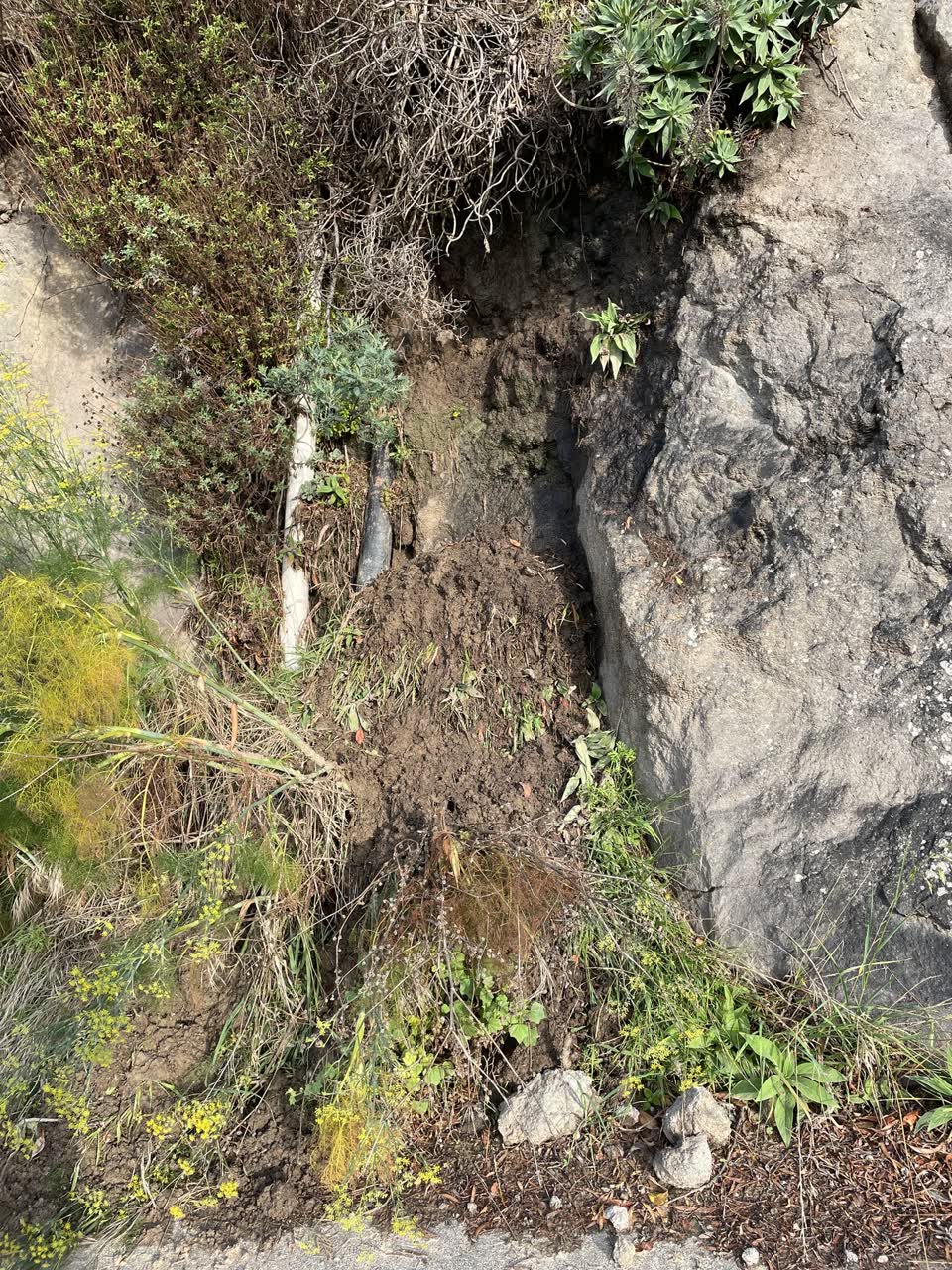 The photograph attached to this wastewater/stormwater report