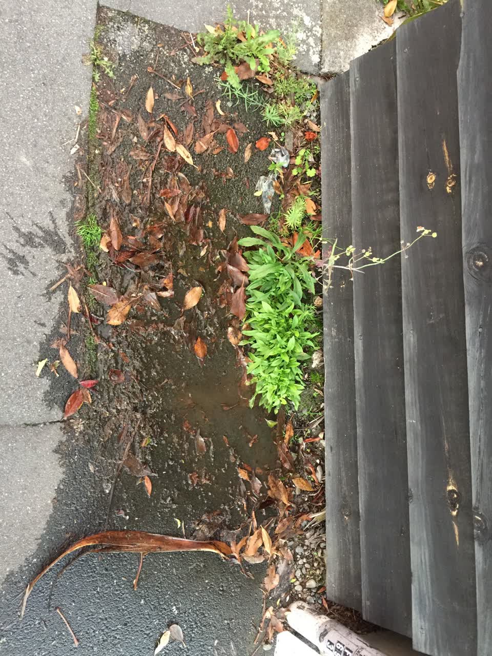 The photograph attached to this water leak report