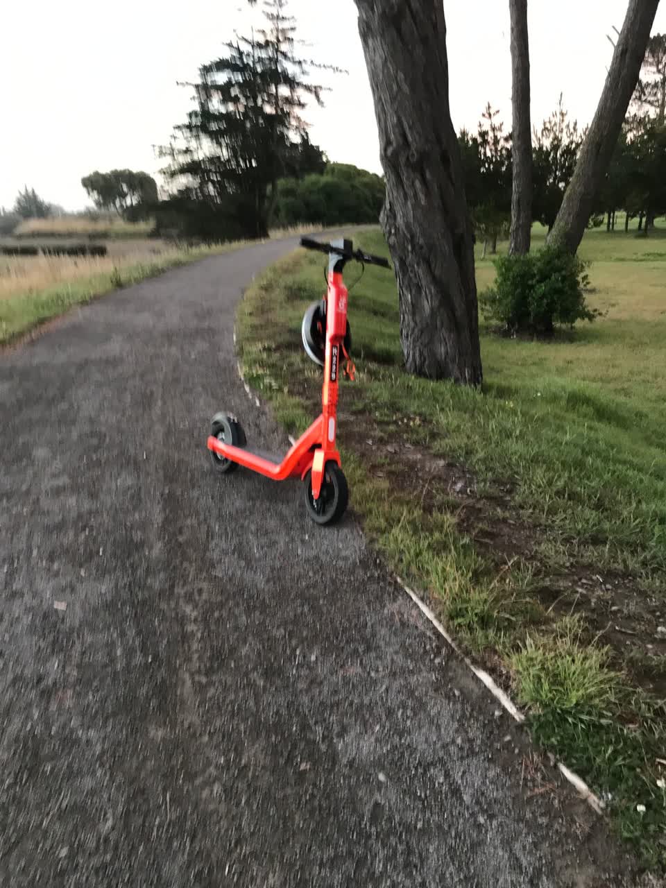 The photograph attached to this parks report