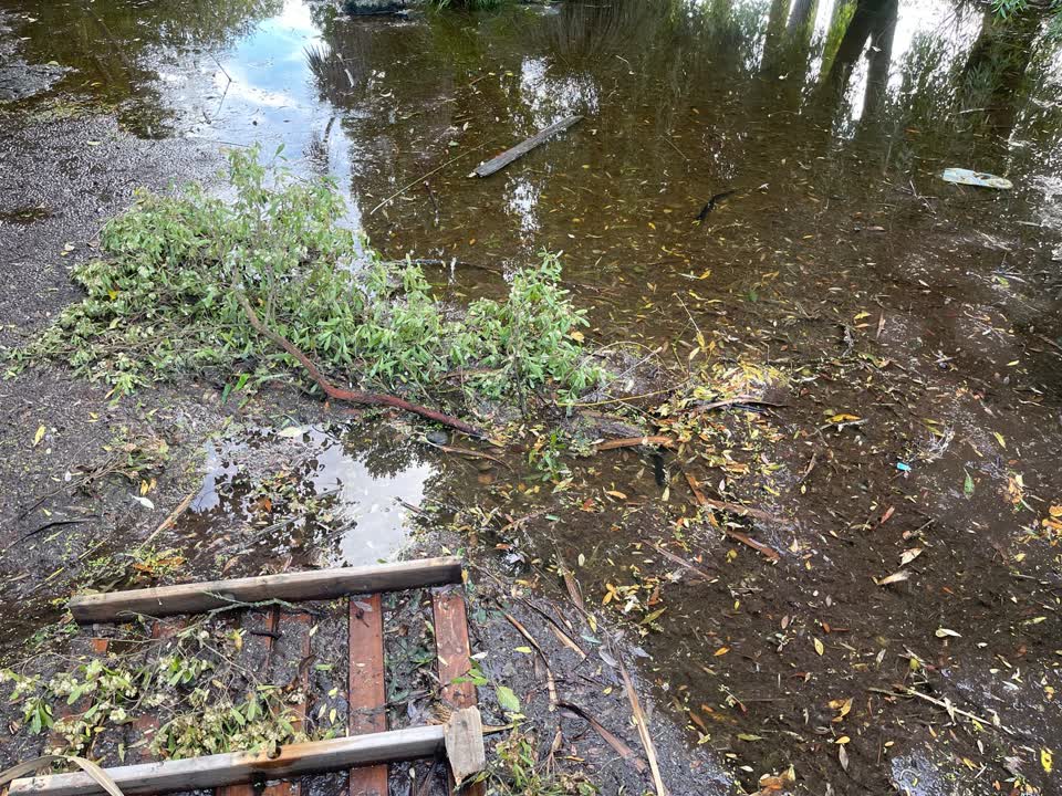 The photograph attached to this parks report