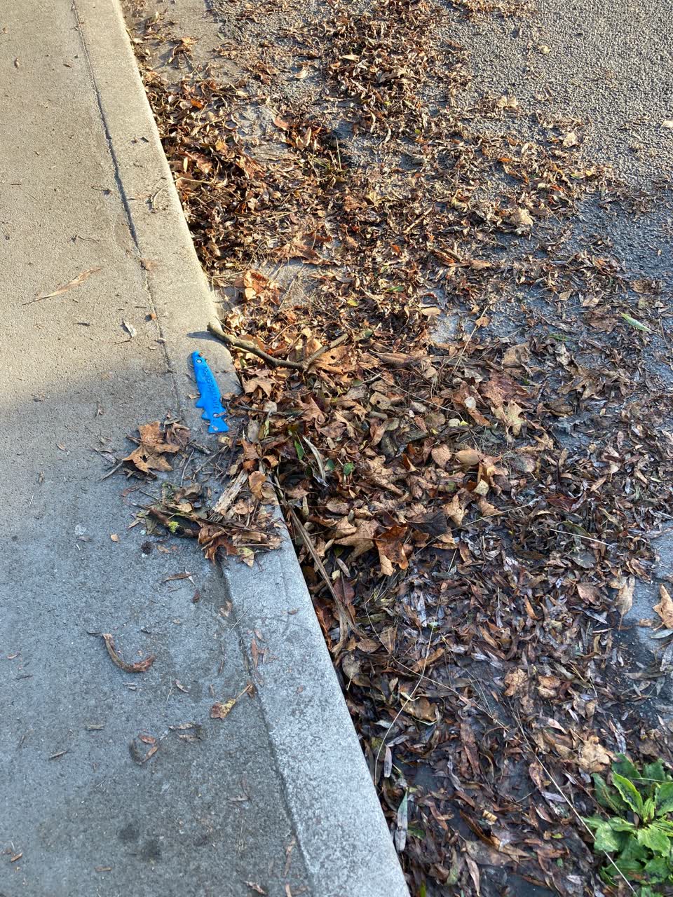 The photograph attached to this wastewater/stormwater report