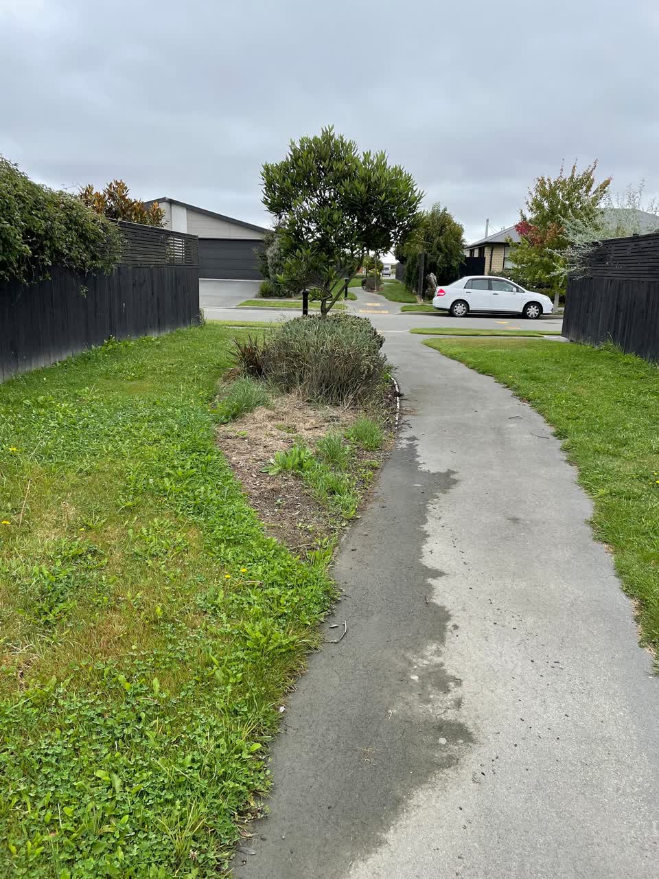 The photograph attached to this parks report