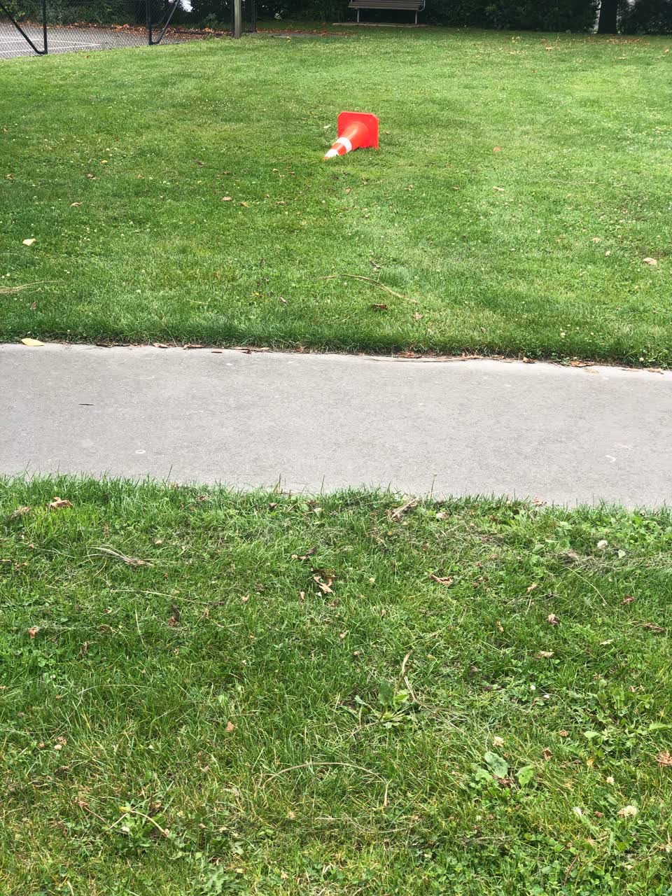The photograph attached to this parks report