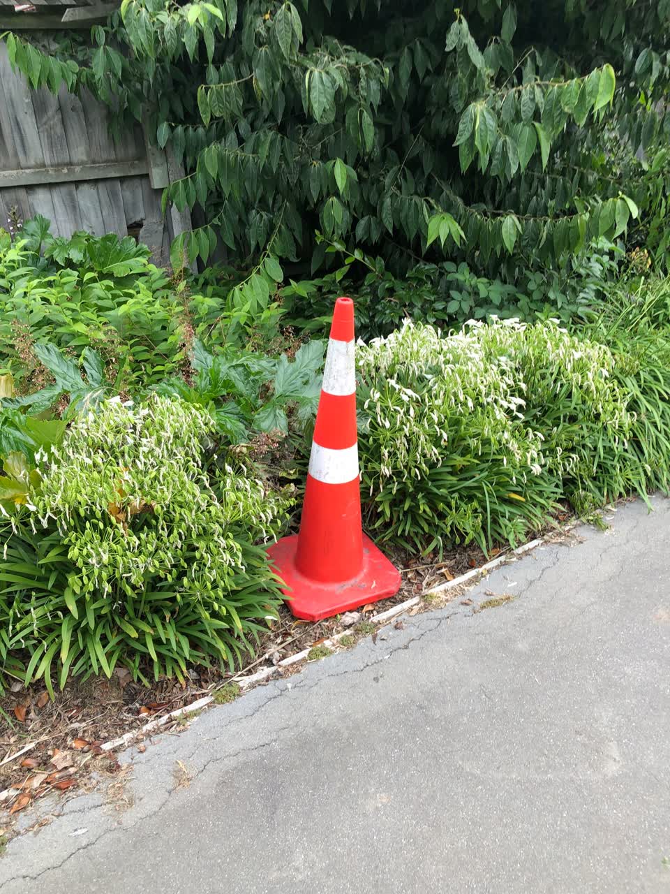 The photograph attached to this parks report