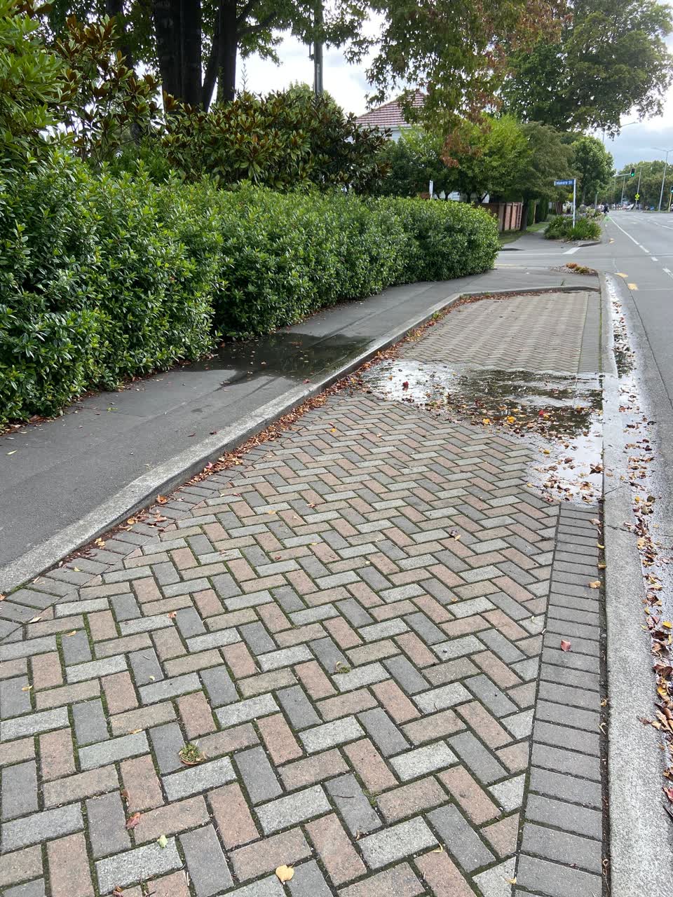 The photograph attached to this water leak report