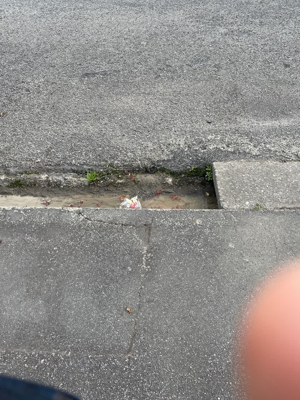 The photograph attached to this water leak report