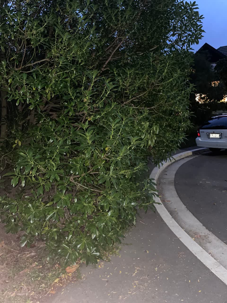 The photograph attached to this roading/streets report