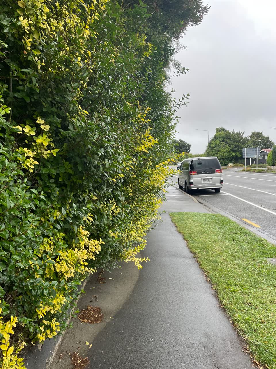 The photograph attached to this roading/streets report
