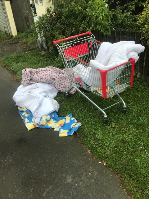 Rubbish/Recycling, a report photo