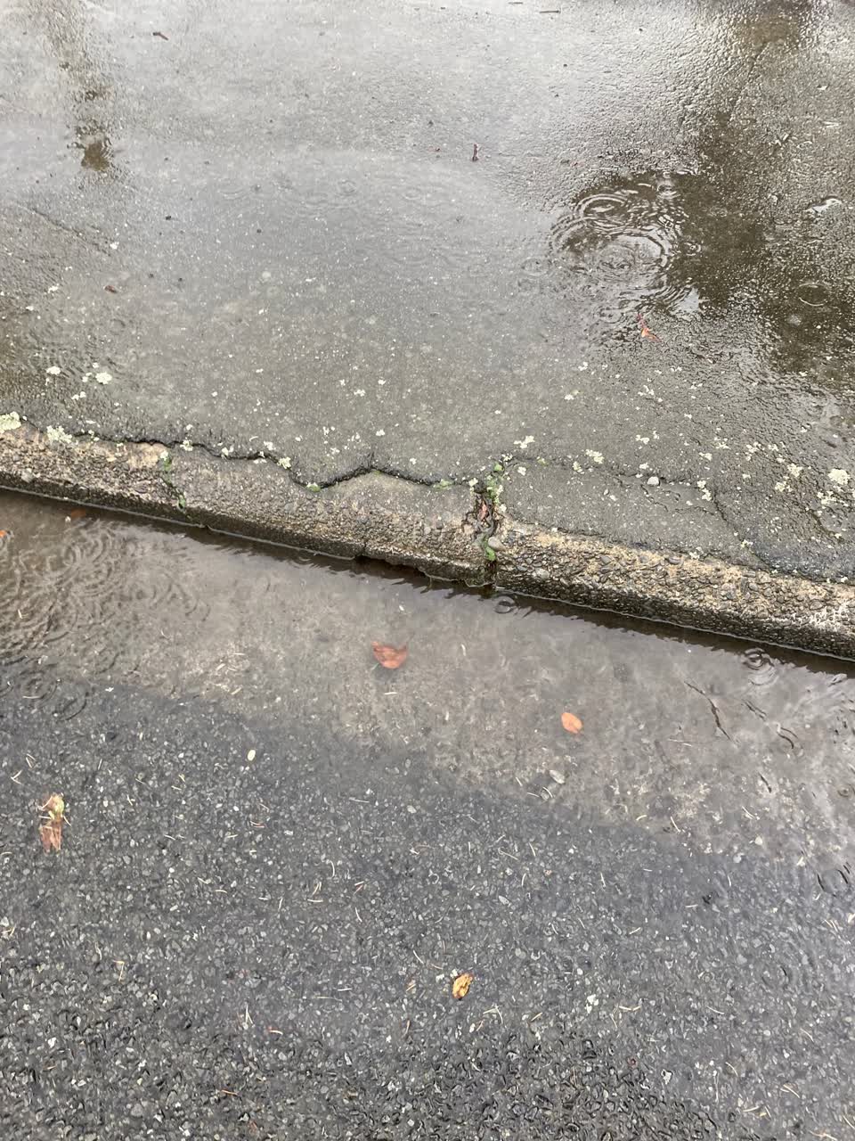 The photograph attached to this wastewater/stormwater report