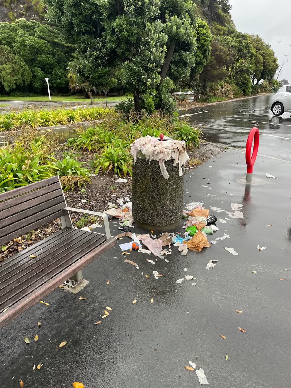 The photograph attached to this rubbish/recycling report