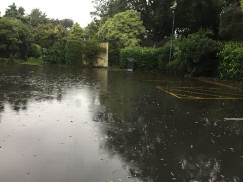Parks, a report photo