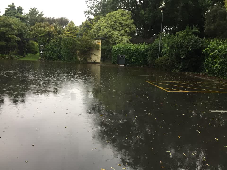The photograph attached to this parks report