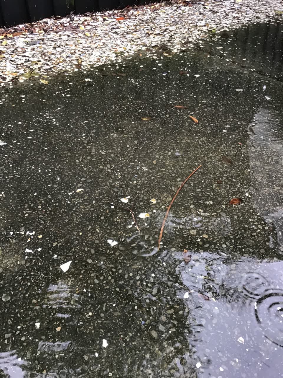 The photograph attached to this wastewater/stormwater report