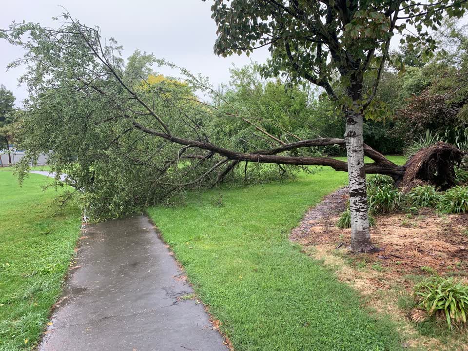 The photograph attached to this parks report