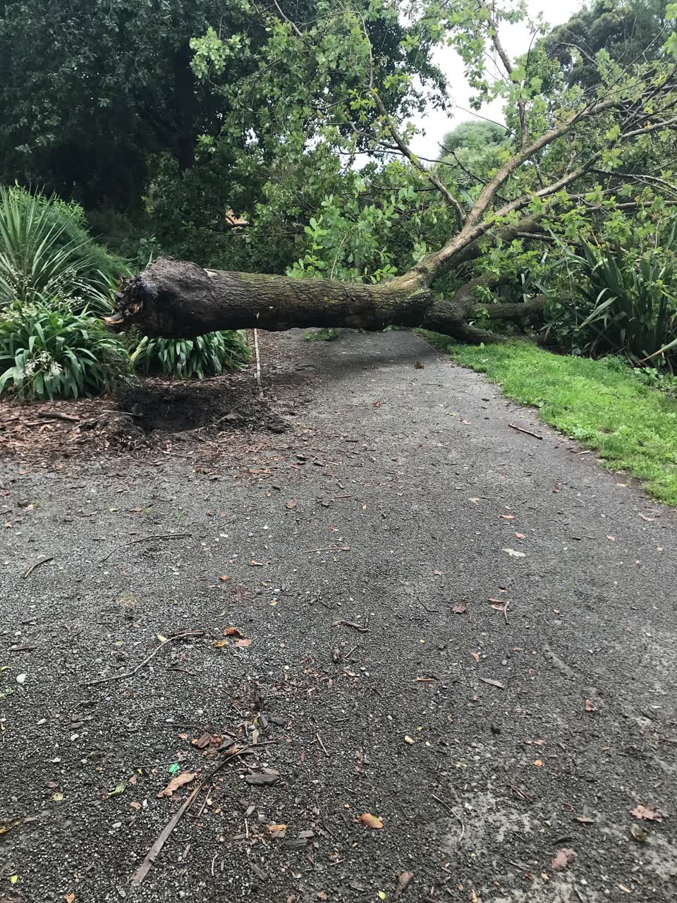 The photograph attached to this parks report