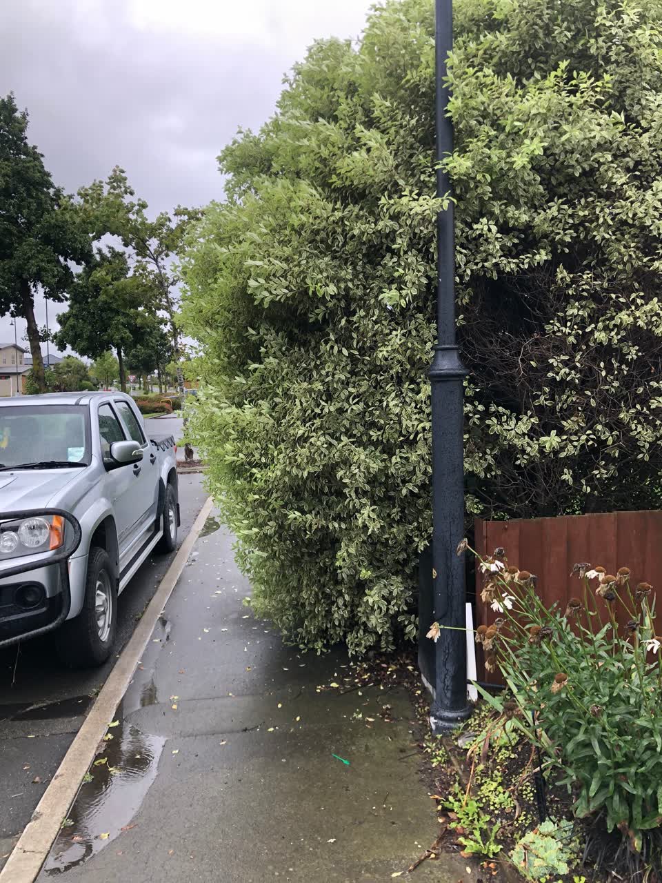 The photograph attached to this roading/streets report