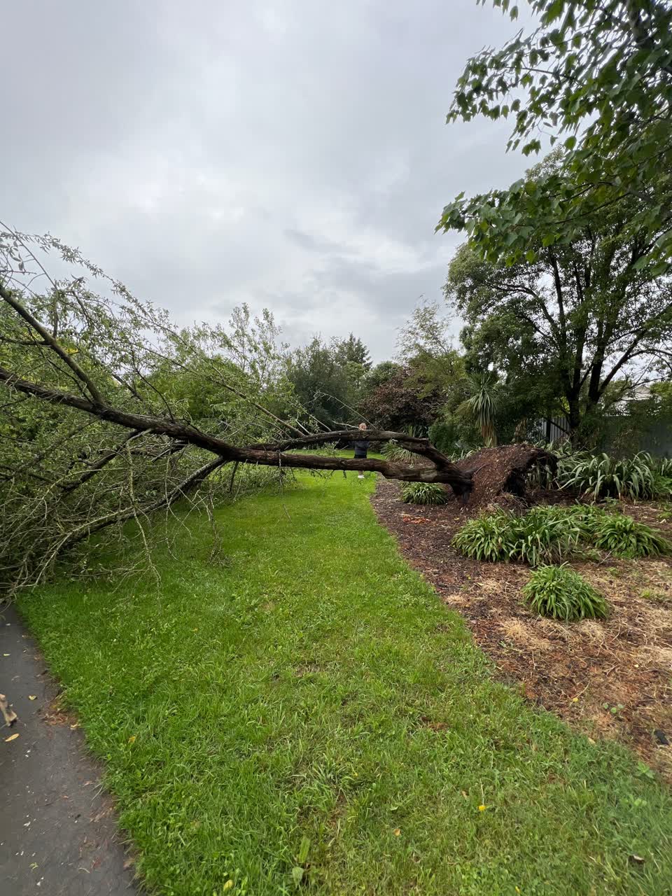 The photograph attached to this parks report