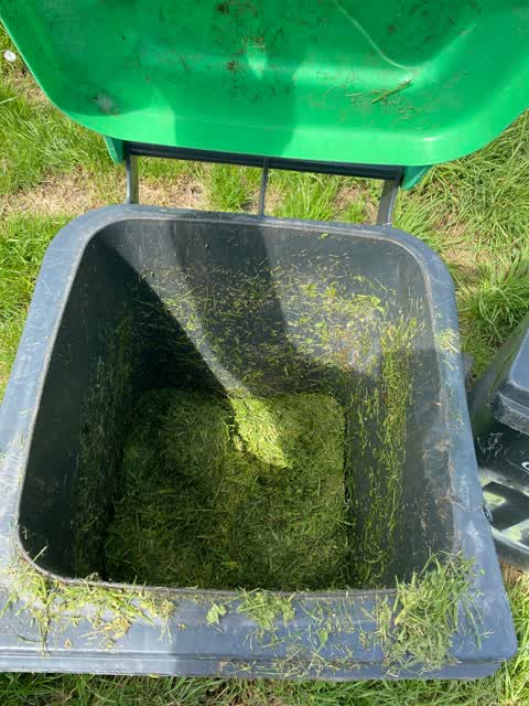 Rubbish/Recycling, a report photo