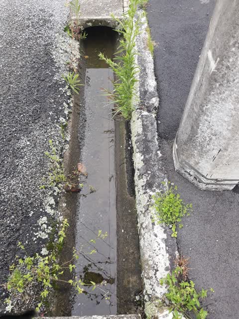 Roading/Streets, a report photo