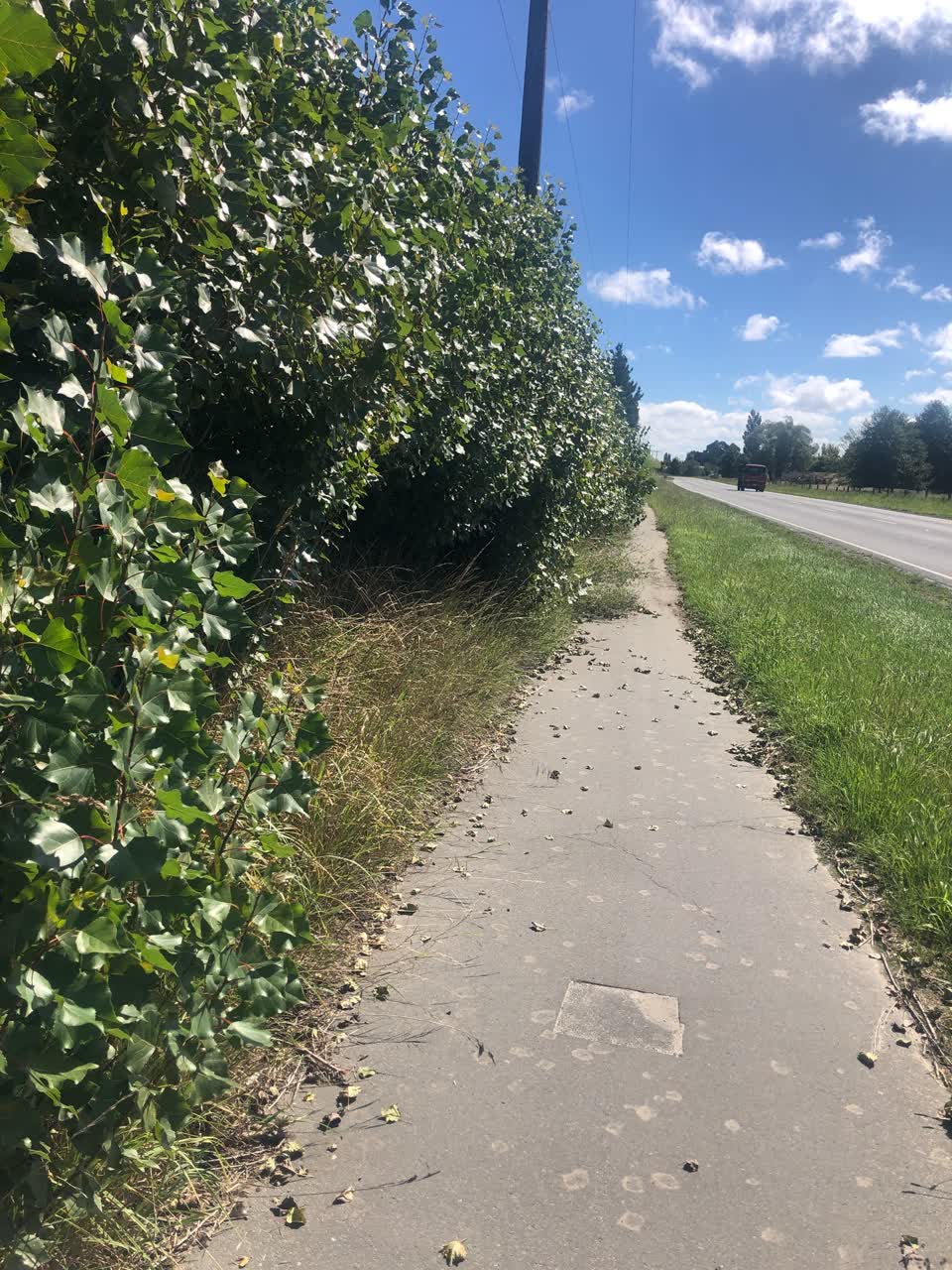 The photograph attached to this roading/streets report