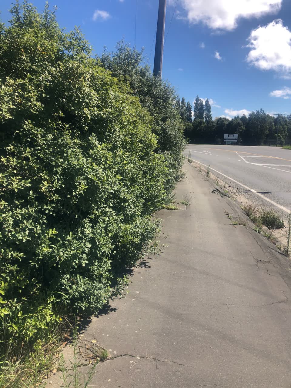 The photograph attached to this roading/streets report