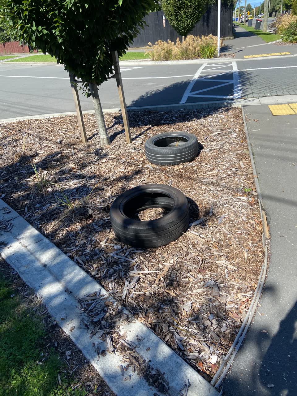 The photograph attached to this rubbish/recycling report