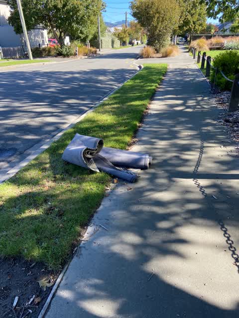 Rubbish/Recycling, a report photo