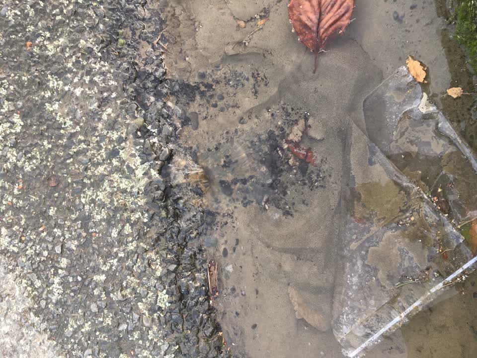 The photograph attached to this water leak report