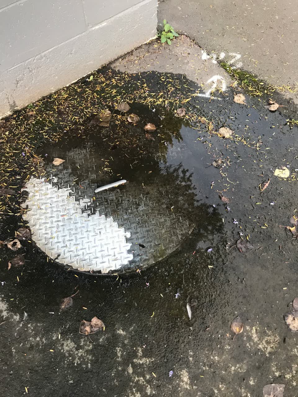 The photograph attached to this wastewater/stormwater report