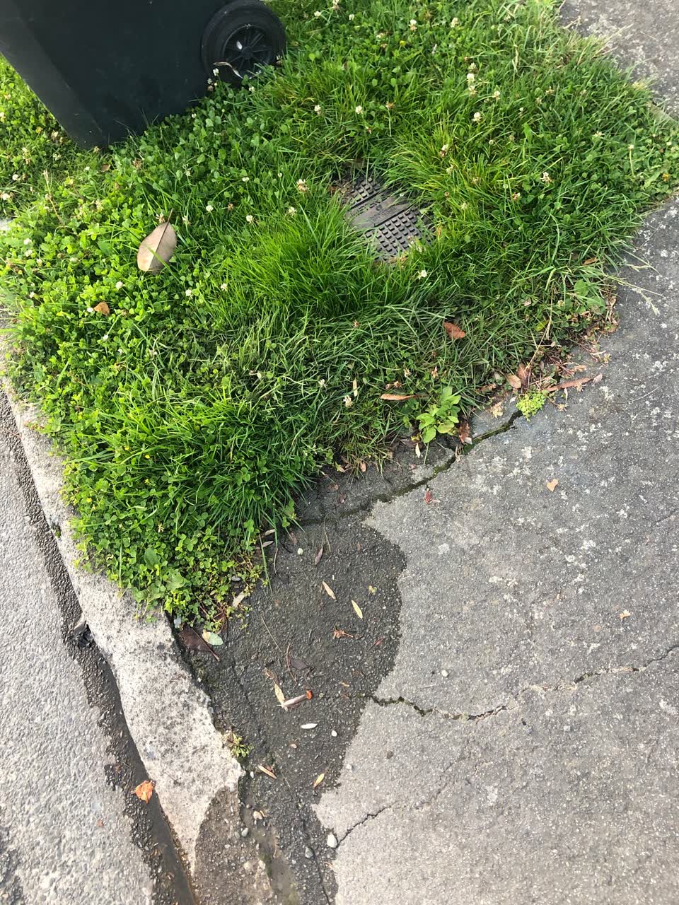 The photograph attached to this water leak report