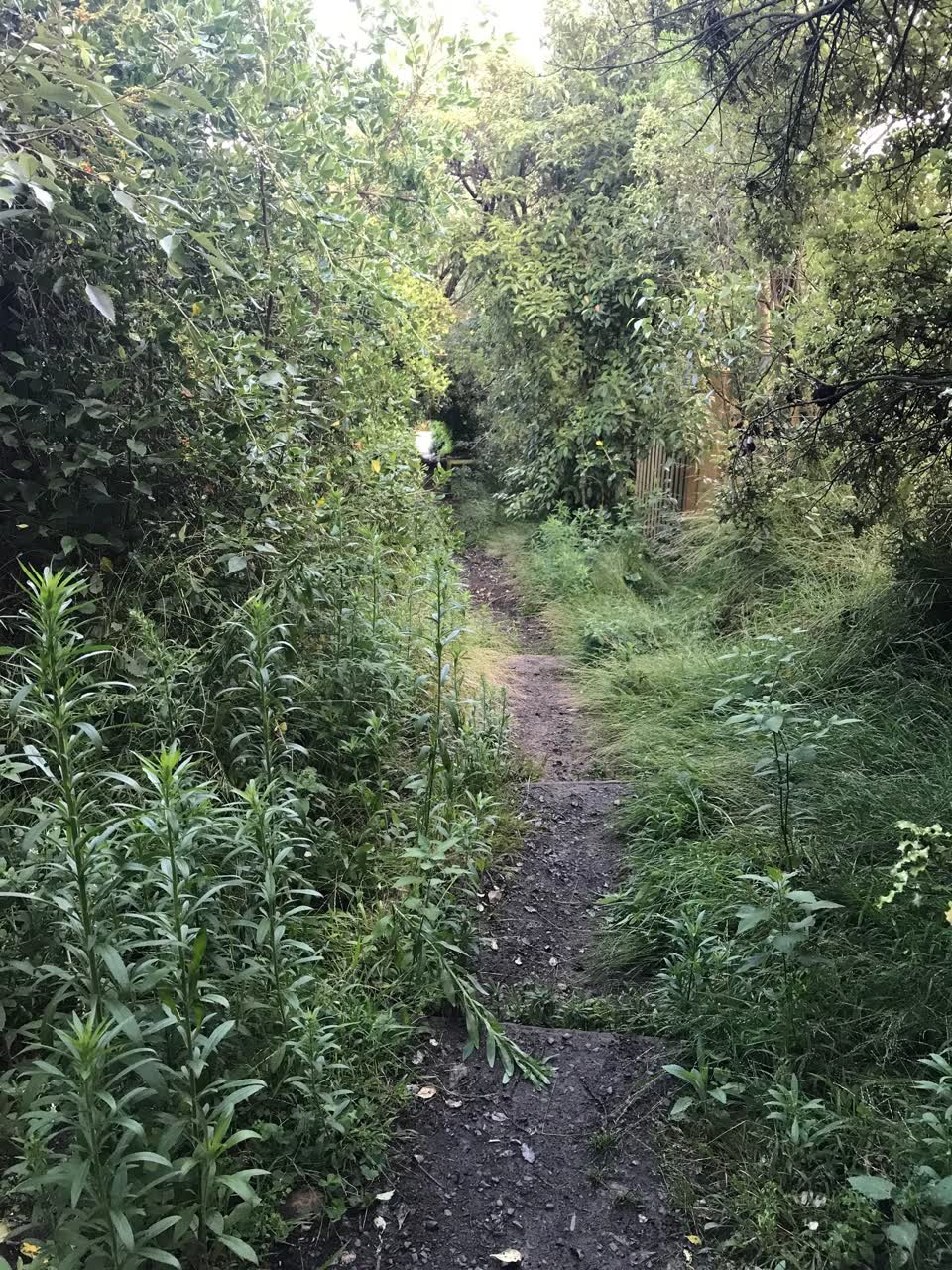 The photograph attached to this parks report