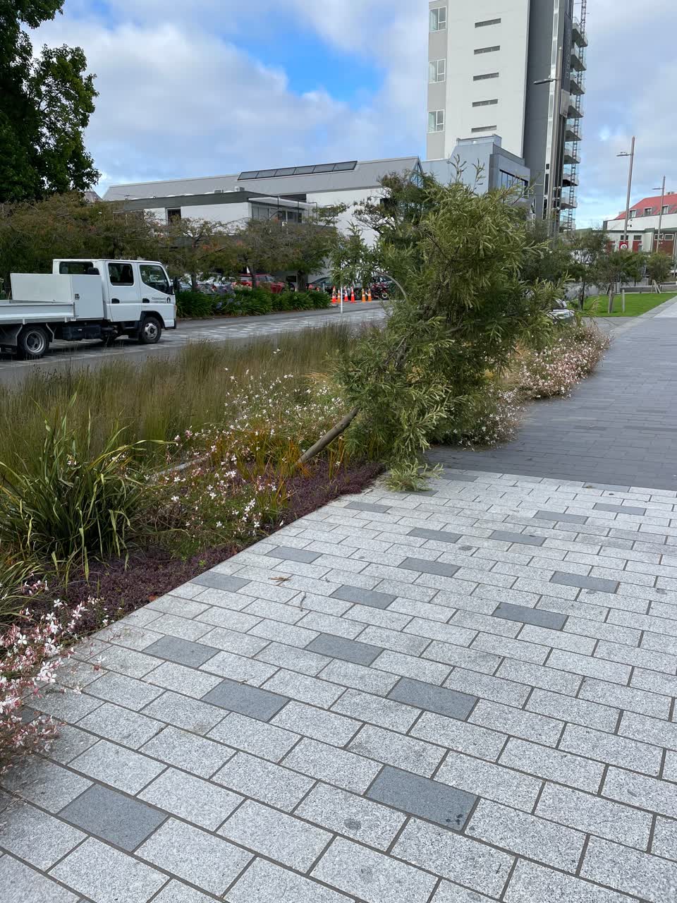 The photograph attached to this parks report