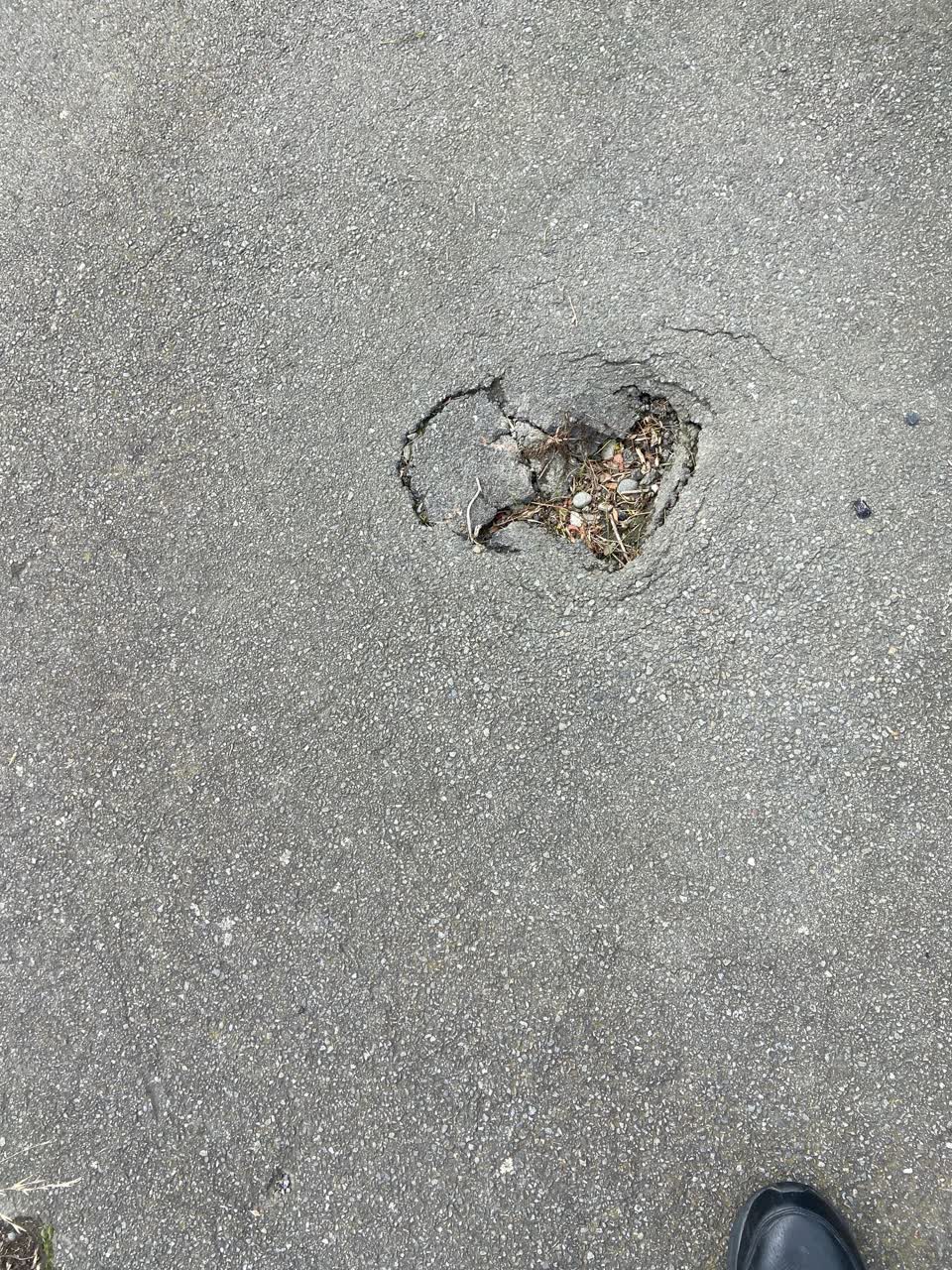 The photograph attached to this roading/streets report