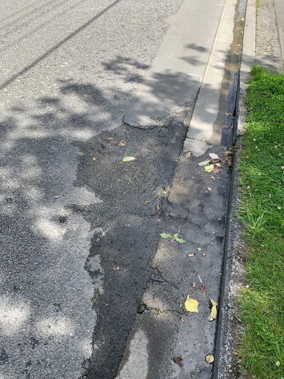 The photograph attached to this water leak report