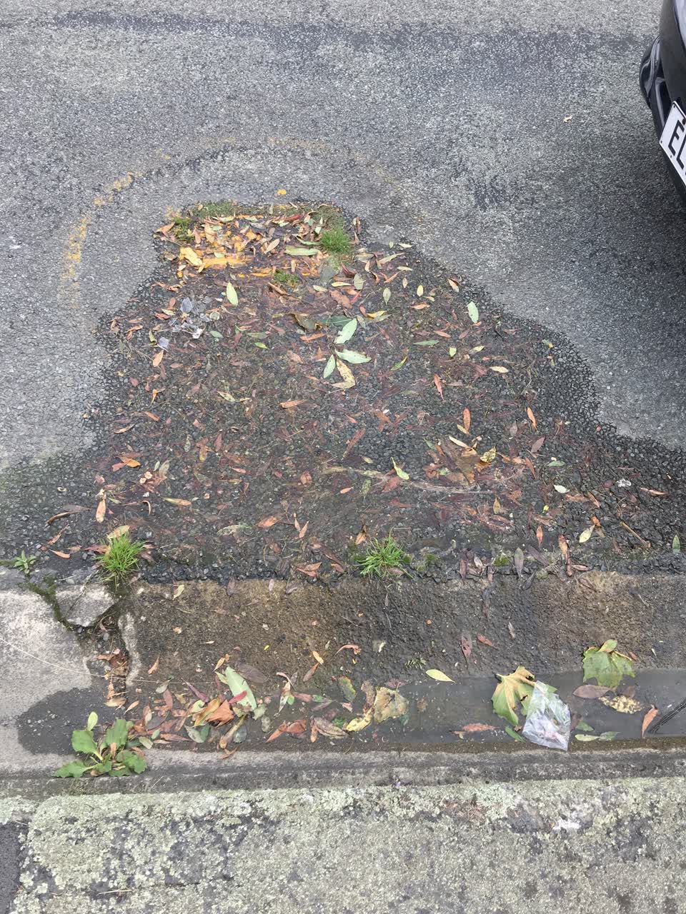 The photograph attached to this water leak report