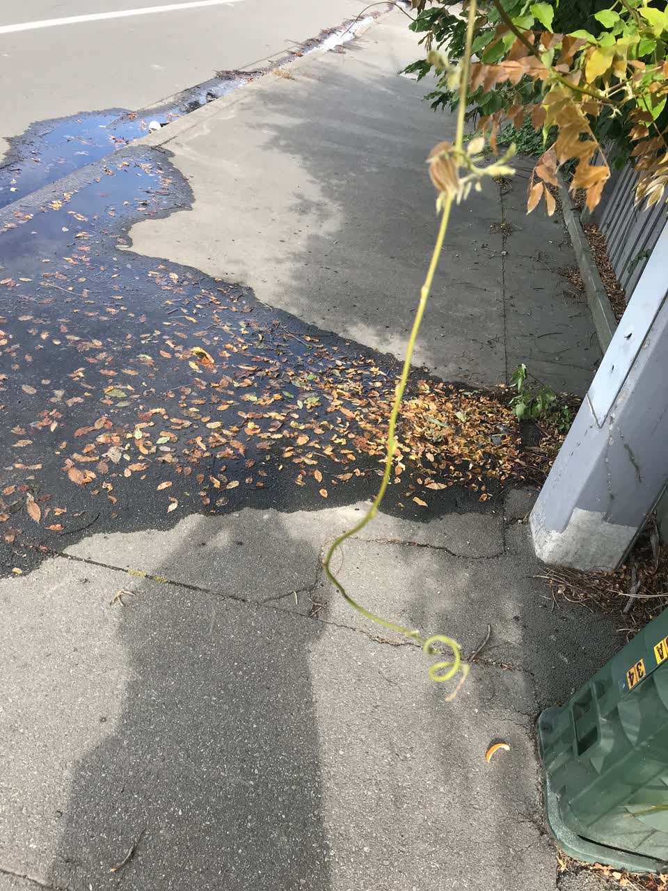 The photograph attached to this water leak report