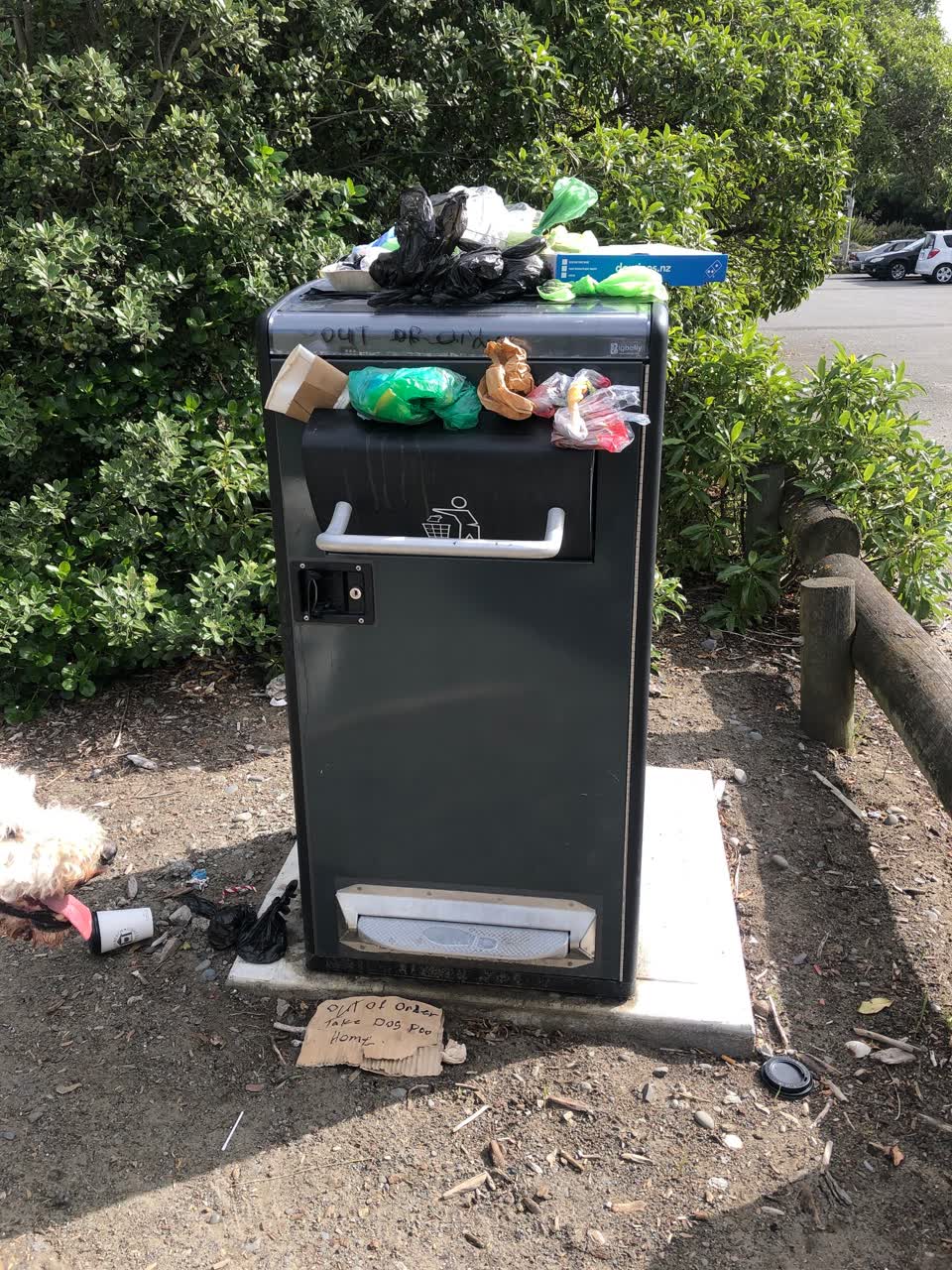 The photograph attached to this rubbish/recycling report