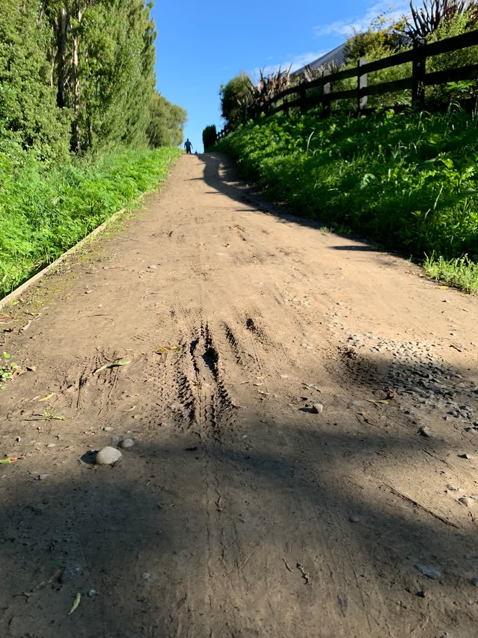 The photograph attached to this parks report