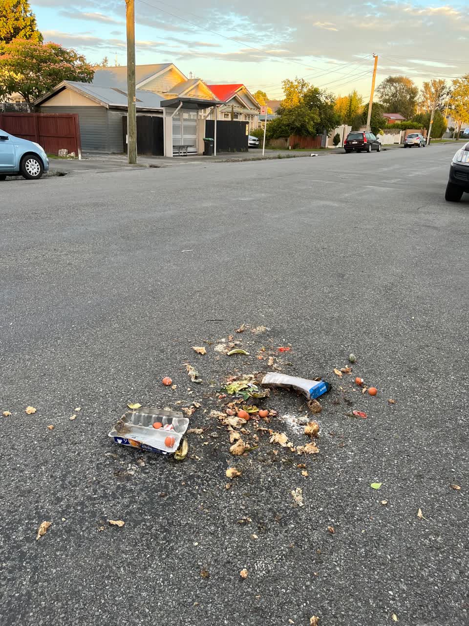 The photograph attached to this rubbish/recycling report