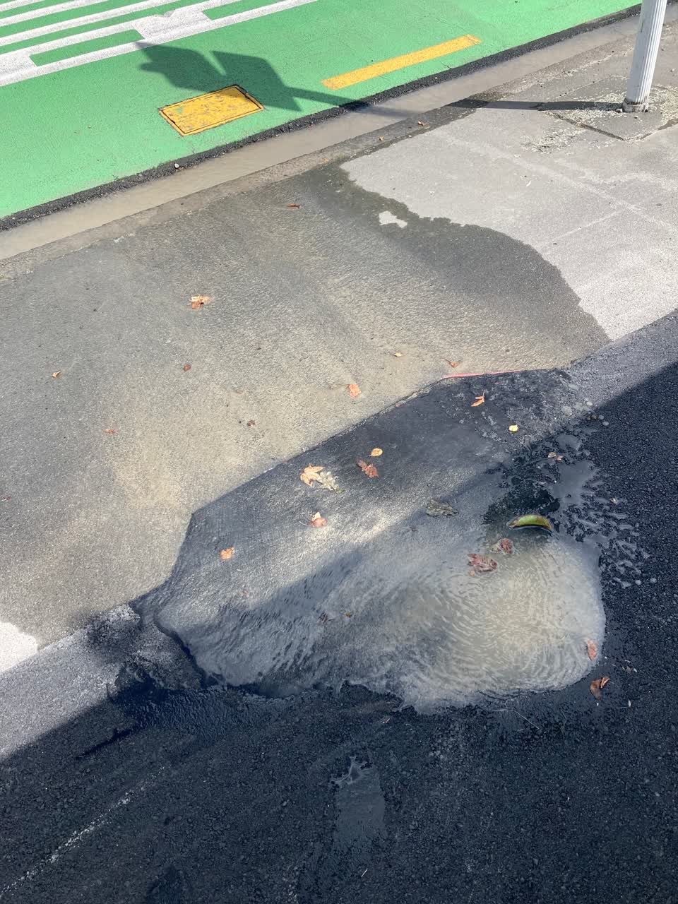 The photograph attached to this water leak report