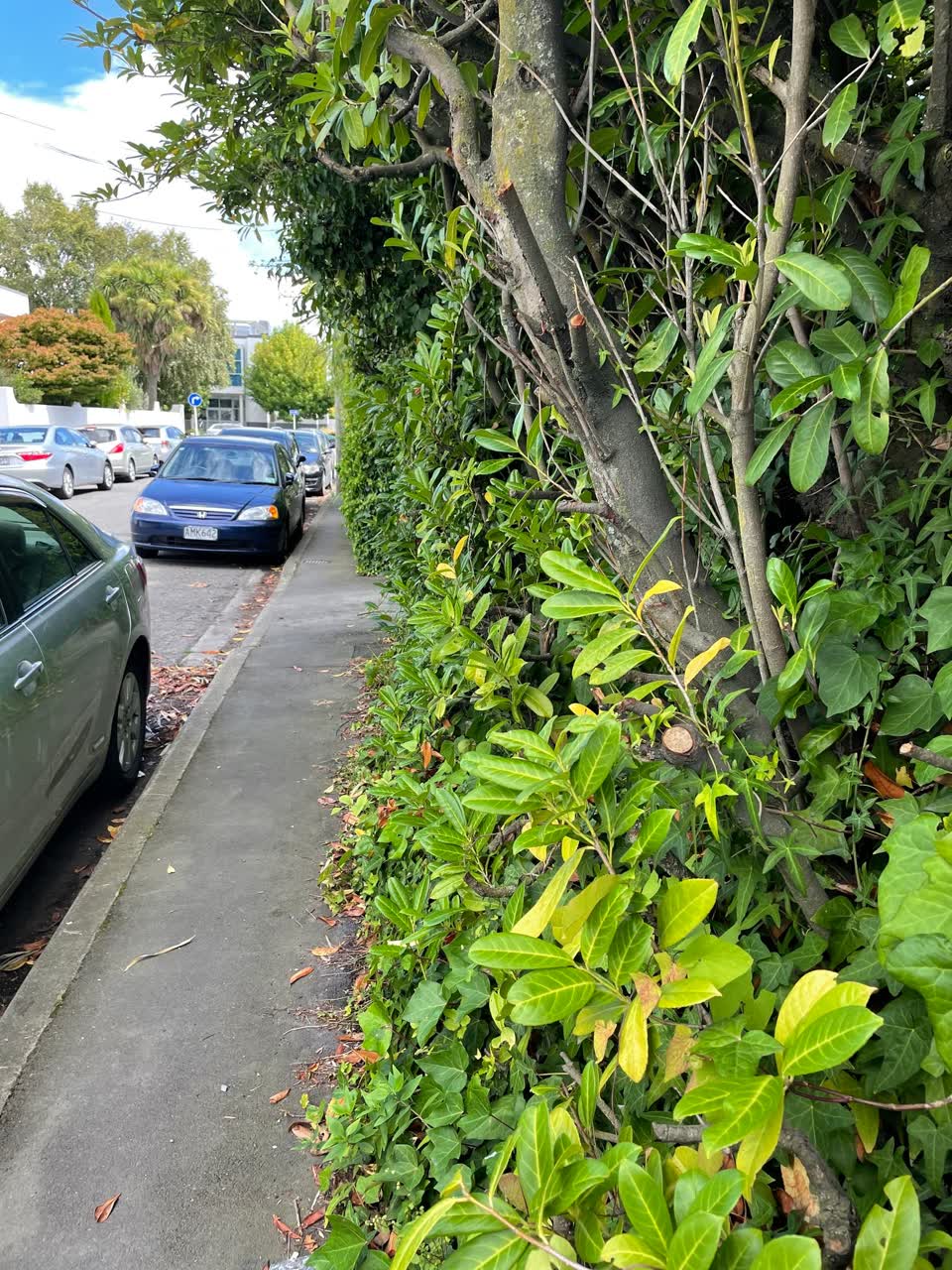 The photograph attached to this roading/streets report