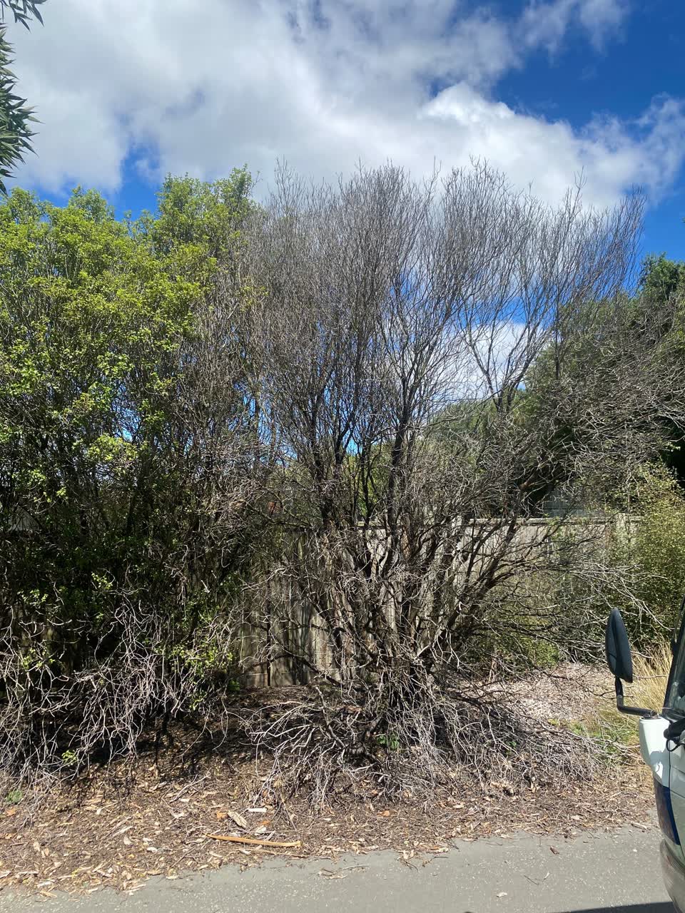 The photograph attached to this parks report