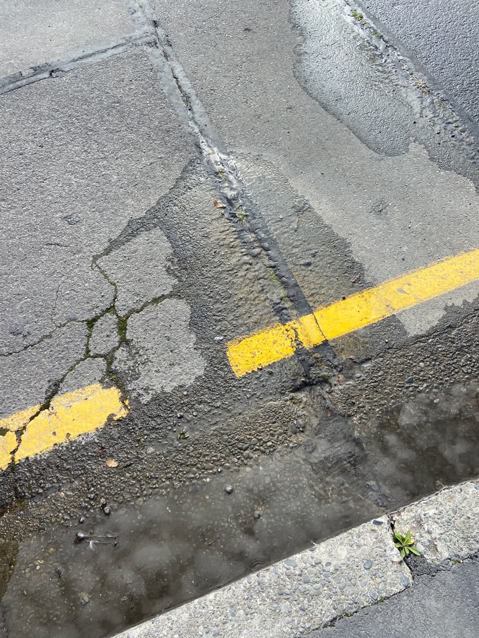The photograph attached to this water leak report