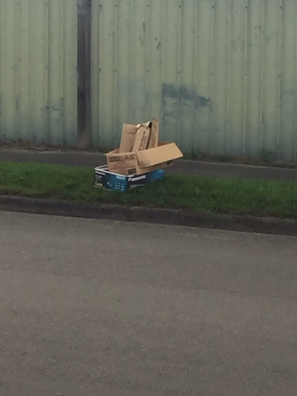 The photograph attached to this rubbish/recycling report